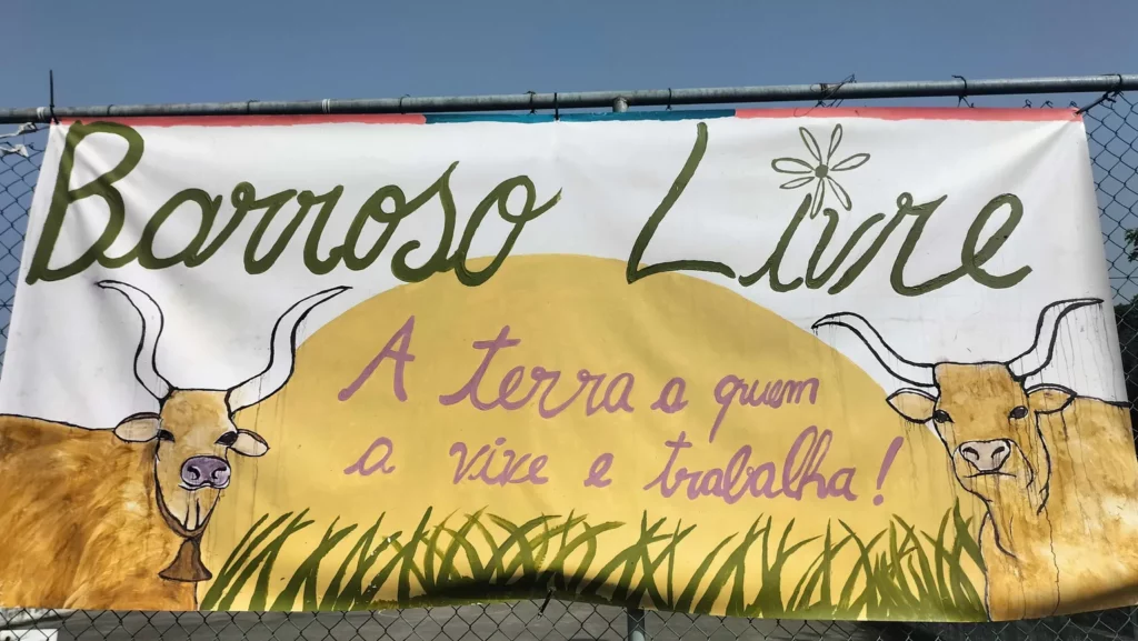IMG20260808102851